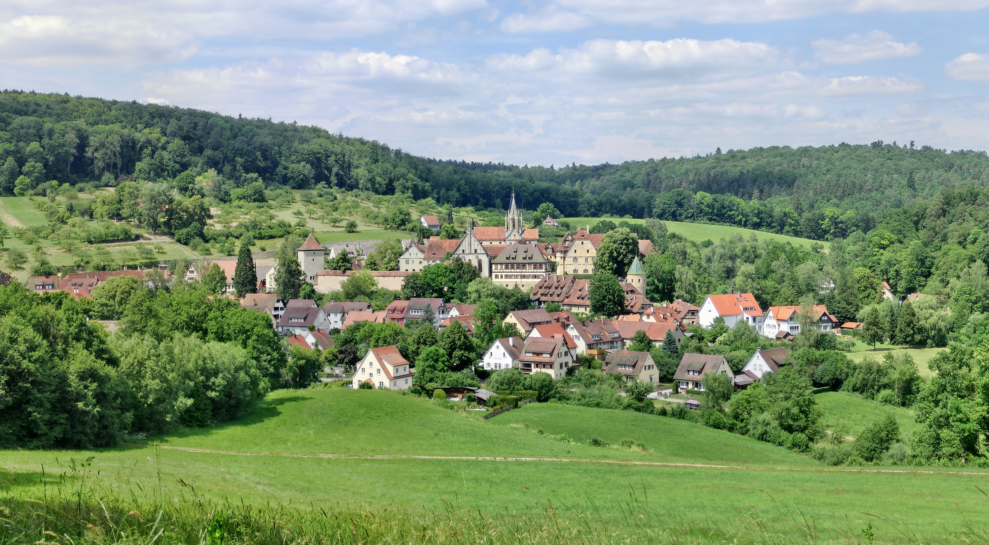 Bebenhausen Juni 2014