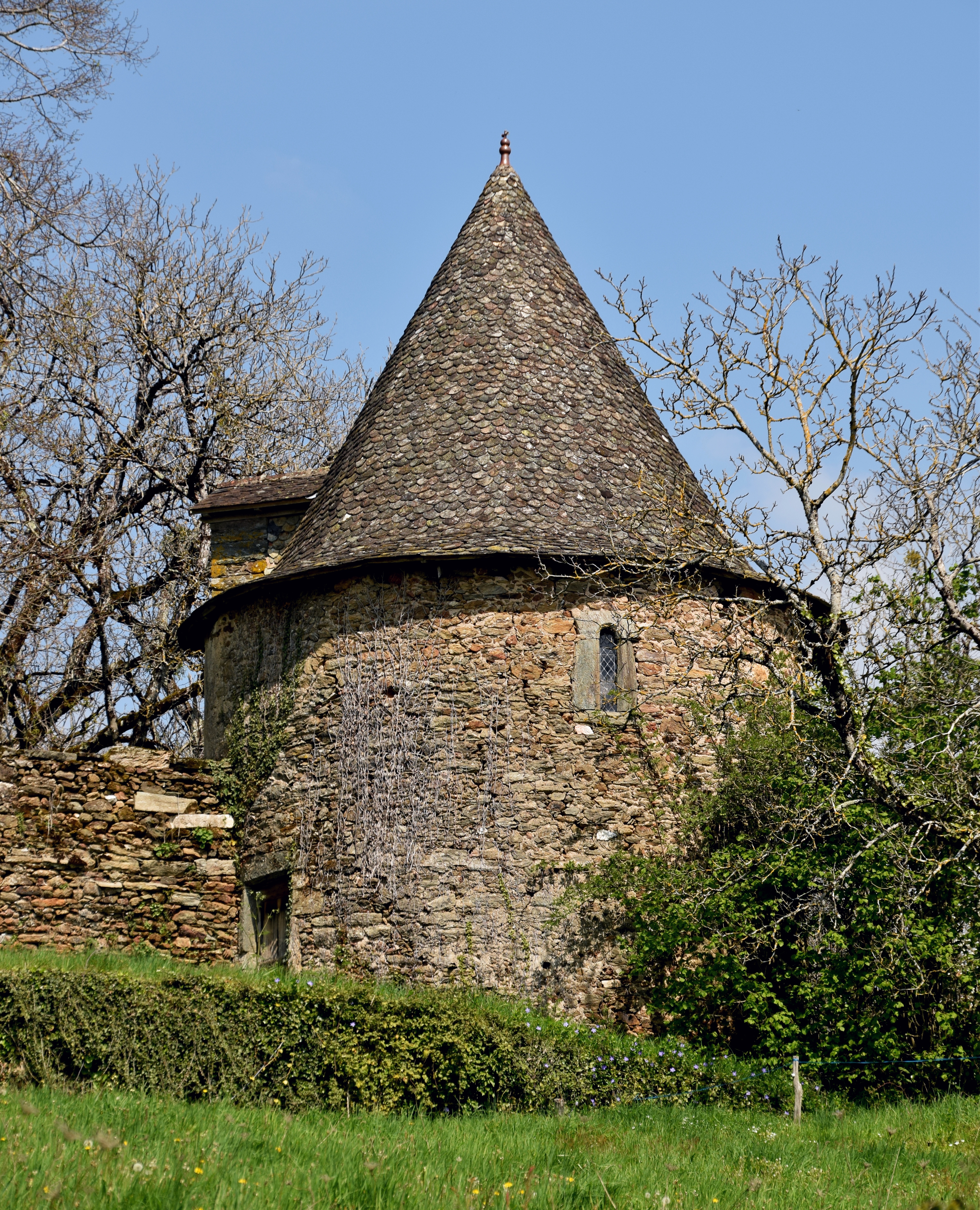Château de Selves 10