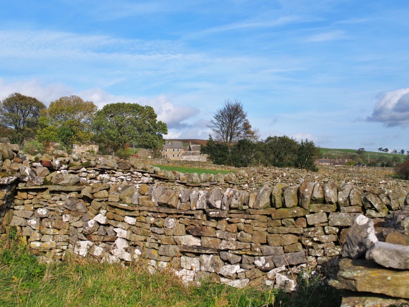 2013 Dry stone walls by Carlton
