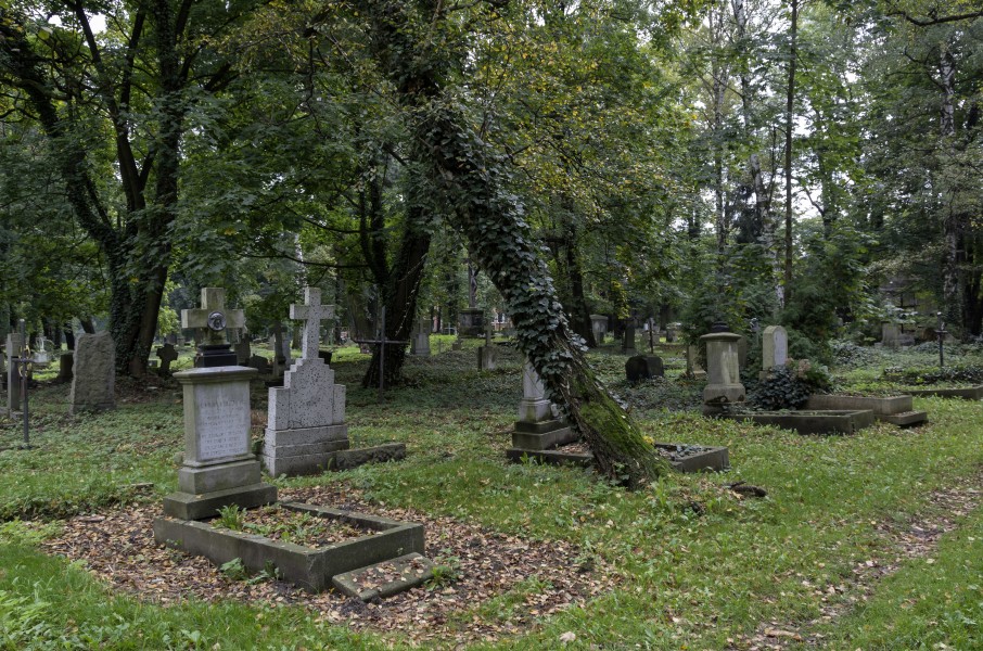 2014 Cmentarz komunalny w Ząbkowicach Śląskich, 01