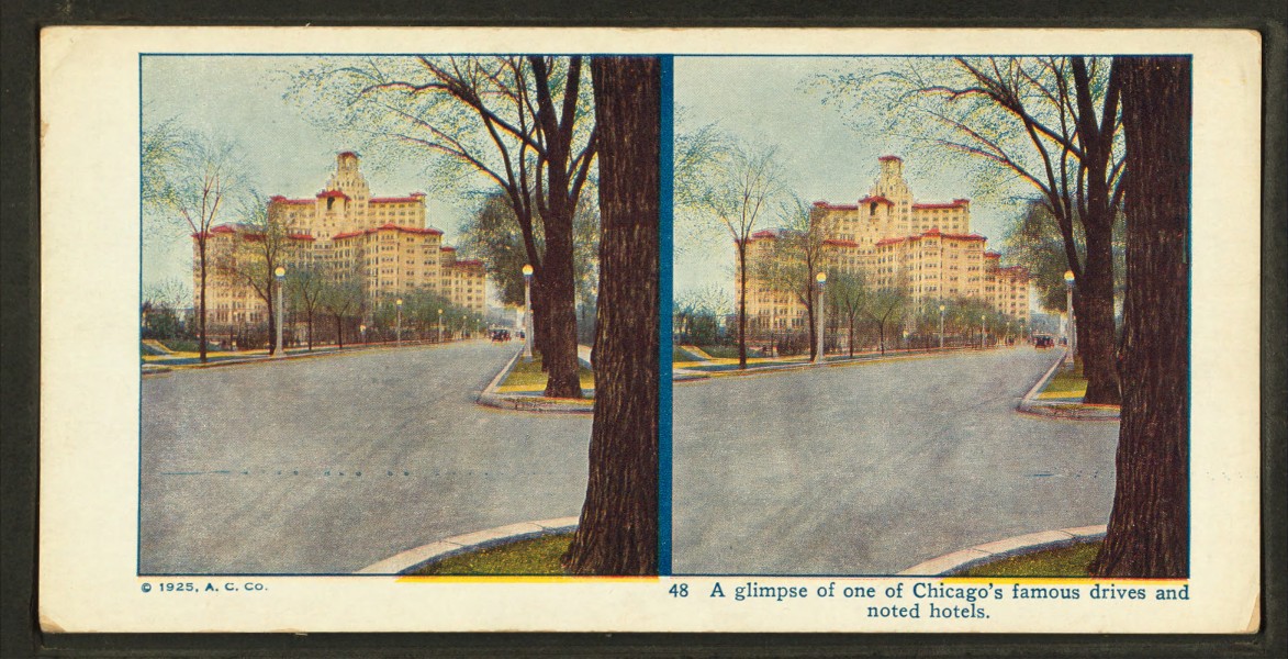A glimpse of one of Chicago's famous drives and noted hotels, from Robert N. Dennis collection of stereoscopic views