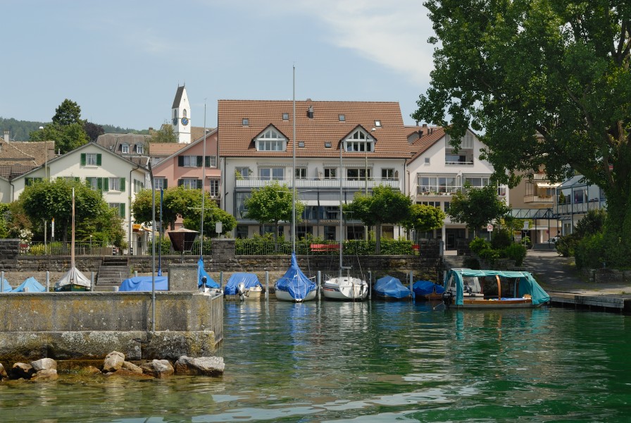 Blick vom Zürichsee auf Männedorf (2009)
