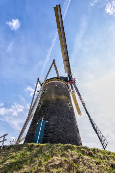 Bredevoort (NL), Windmühle Prins van Oranje -- 2018 -- 1813-7