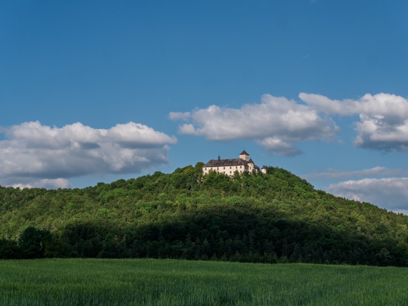 Burg Greifenstein-P1260987