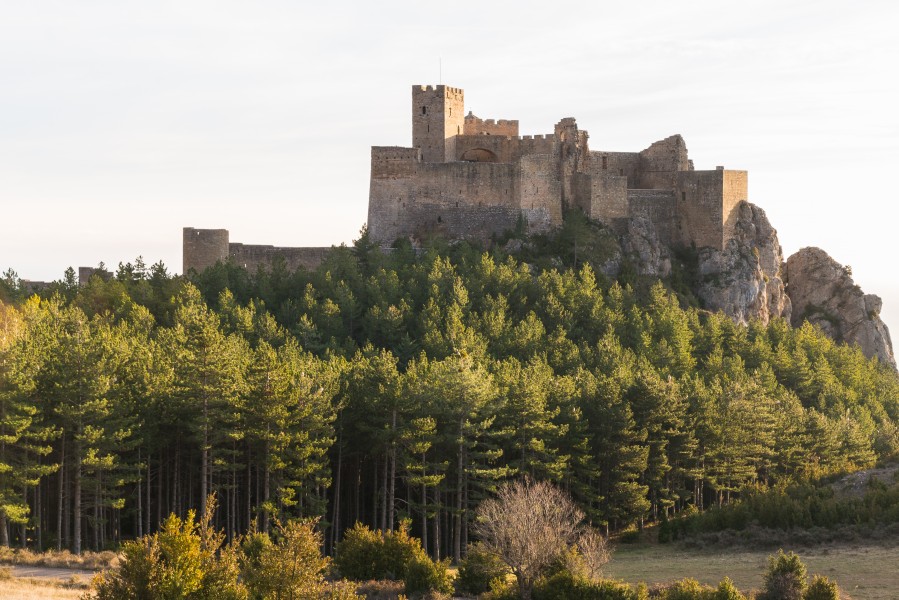 Castillo de Loarre, Loarre, Huesca, España, 2015-01-06, DD 05