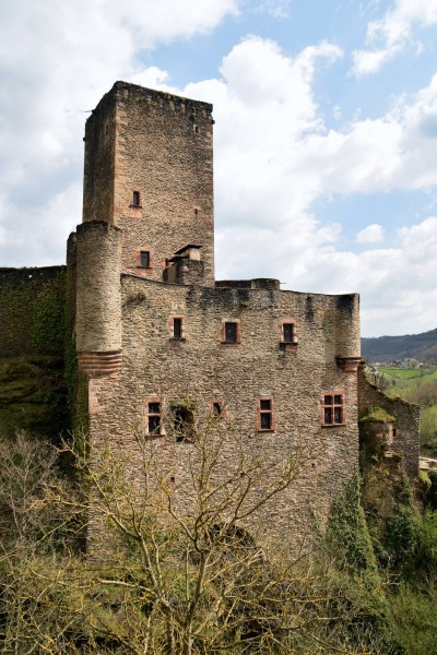 Castle of Belcastel 14