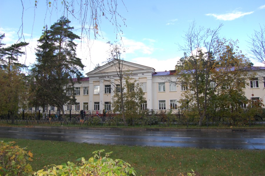 Dubna School 1 Alexander Bereznyak