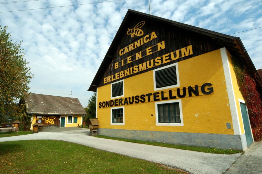 Ferlach Kirschentheuer Carnica Bienenmuseum 250920070 41