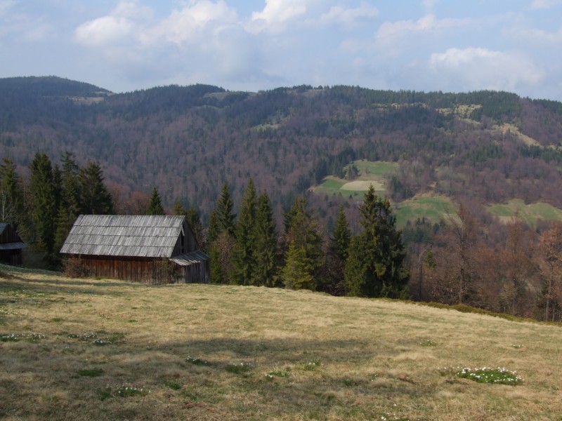Gorce 2010 - hut