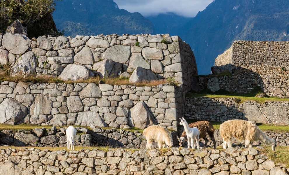 Machu Picchu, Perú, 2015-07-30, DD 58