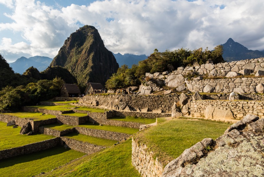 Machu Picchu, Perú, 2015-07-30, DD 60