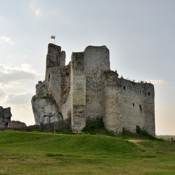 Mirów, zamek (WLZ14)