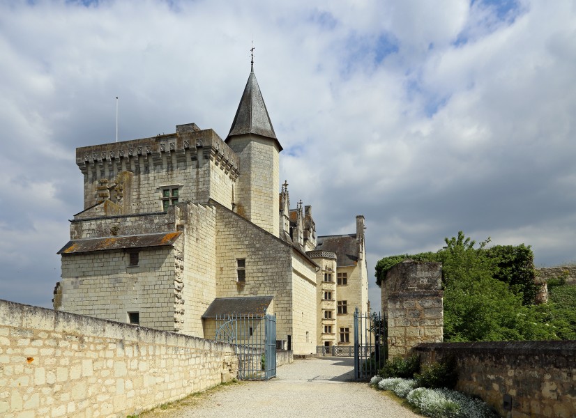 Montsoreau Castle R01