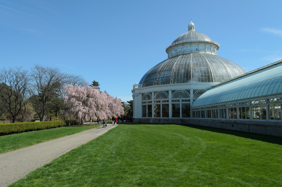 New York Botanical Garden April 2015 002