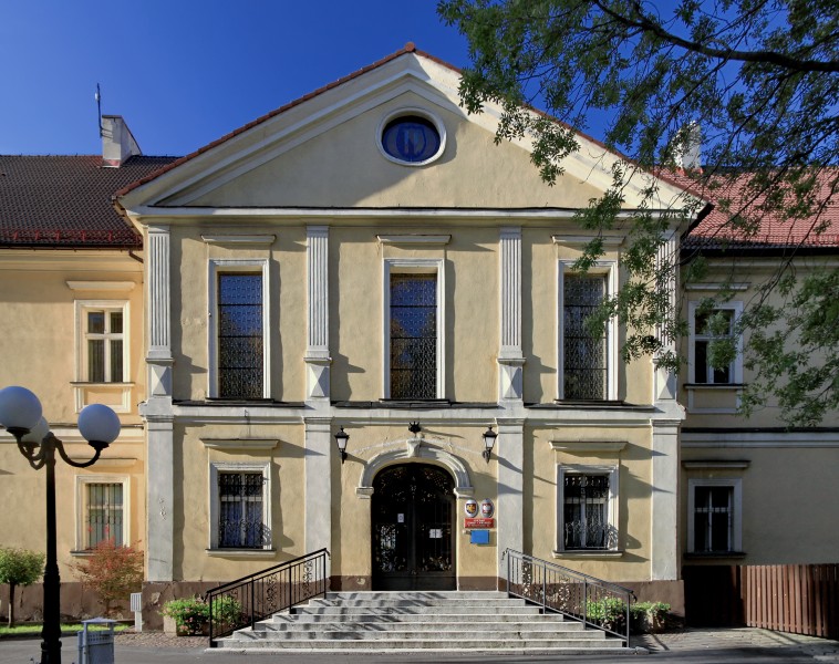 Pałac w Wodzisławiu Śląskim 1
