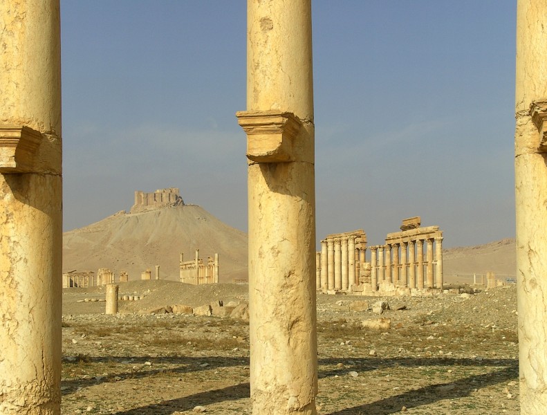 Palmyra, December 2009