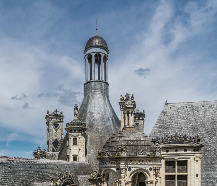 Roof of the Chambord Castle 02