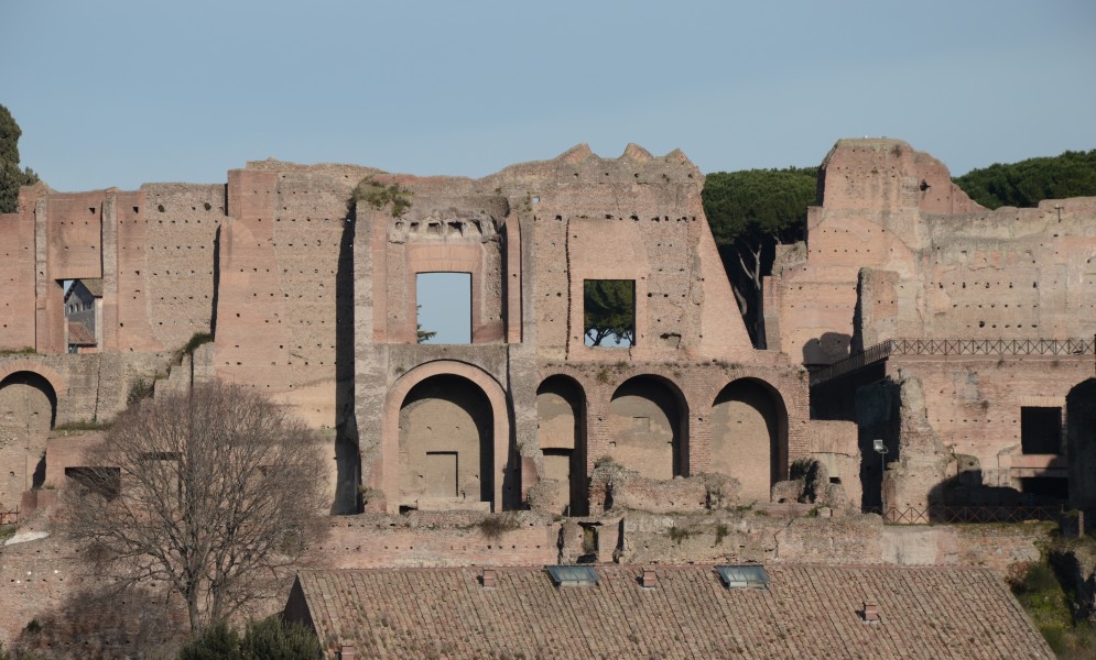 Ruins of the Domus Augustana on Palatine Hill.
