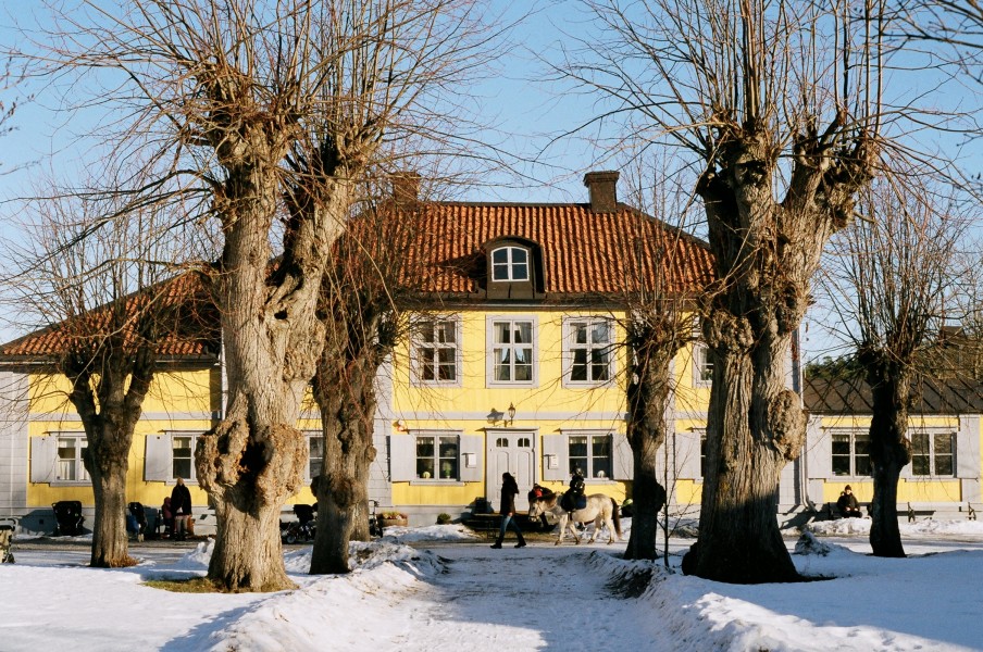 Stora Nyckelviken February 2011b