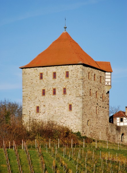 Turm Burg Wildeck