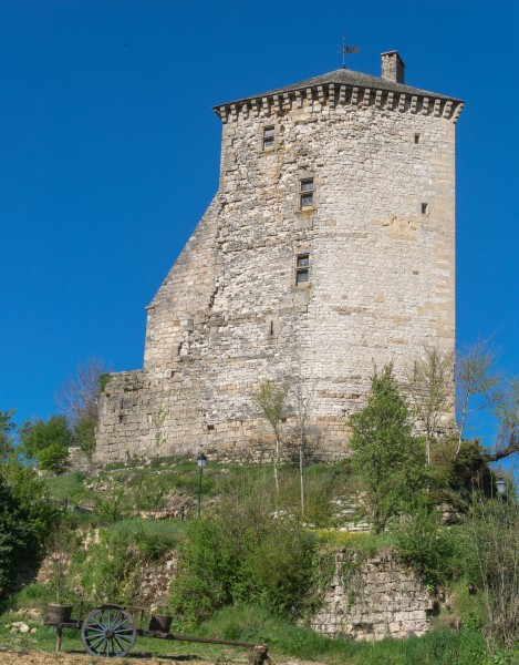 Vestiges of the castle in Muret-le-Chateau 05
