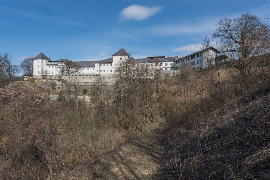Wernberg Schloss-Komplex S-Ansicht 12032015 0755