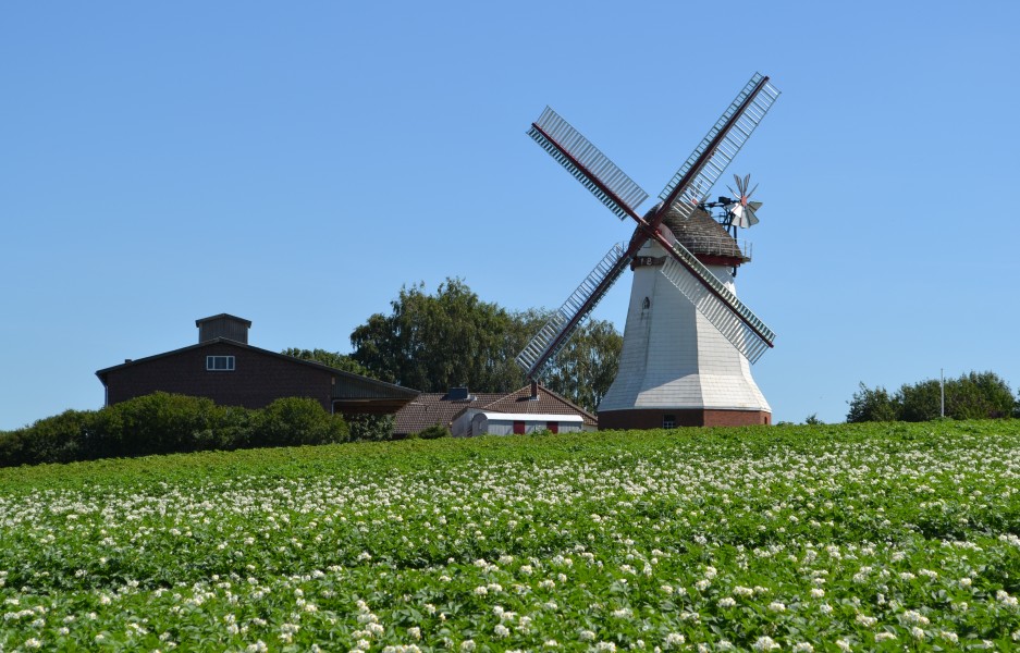 Windmühle Eyendorf