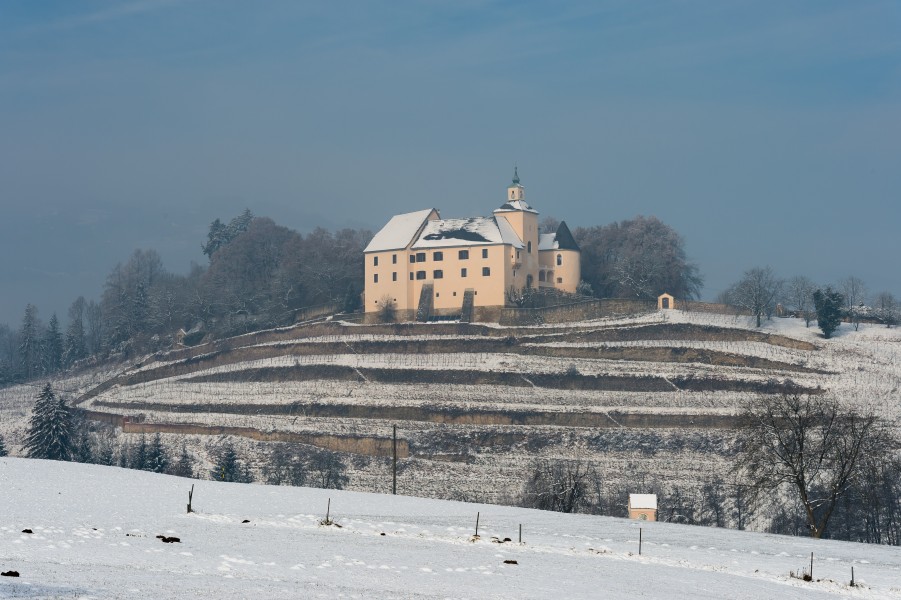 Wolfsberg Thuern 1 Schloss Thuern mit Weinberg 08012016 2621