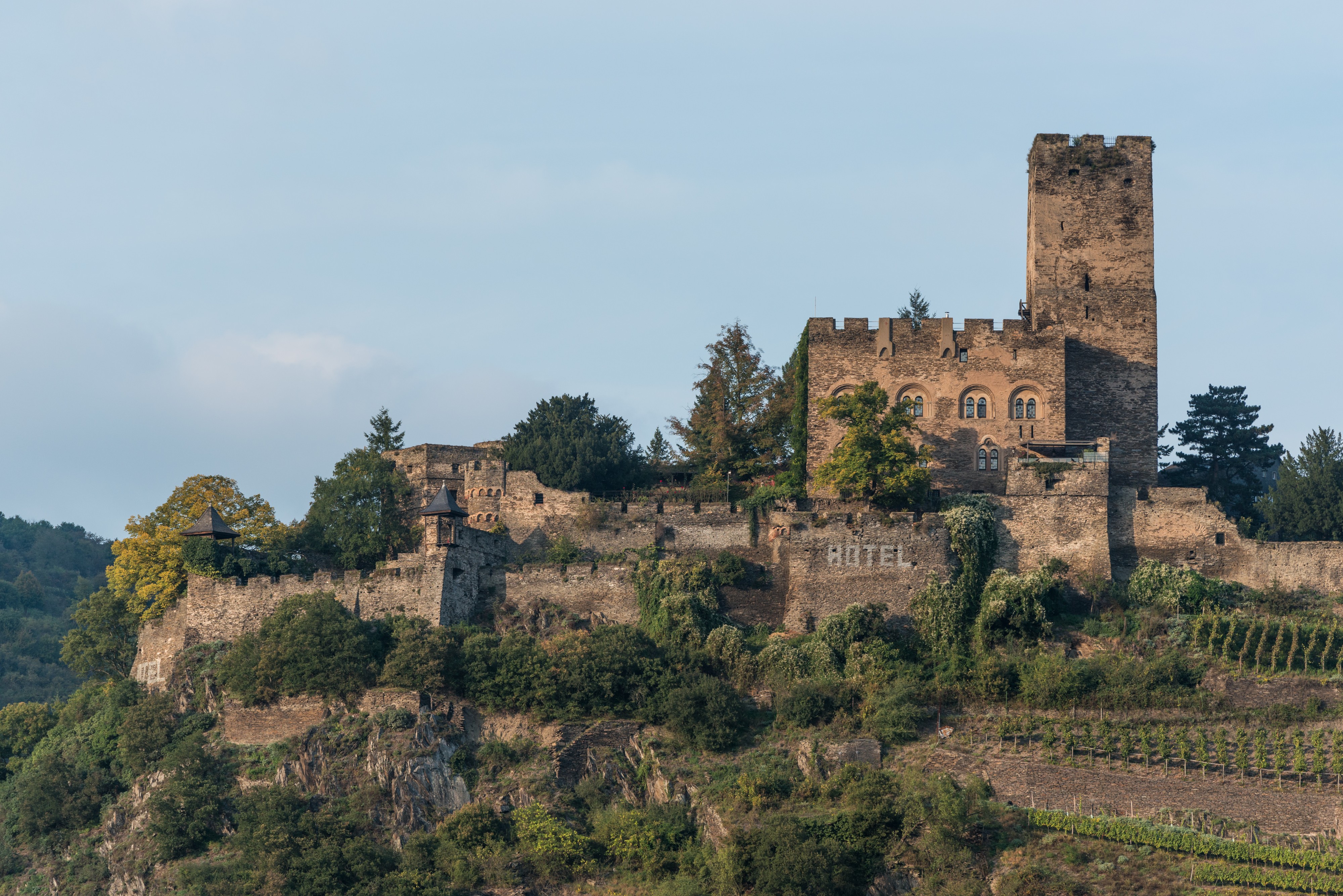 Burg Gutenfels, Southwest view 20141002 1