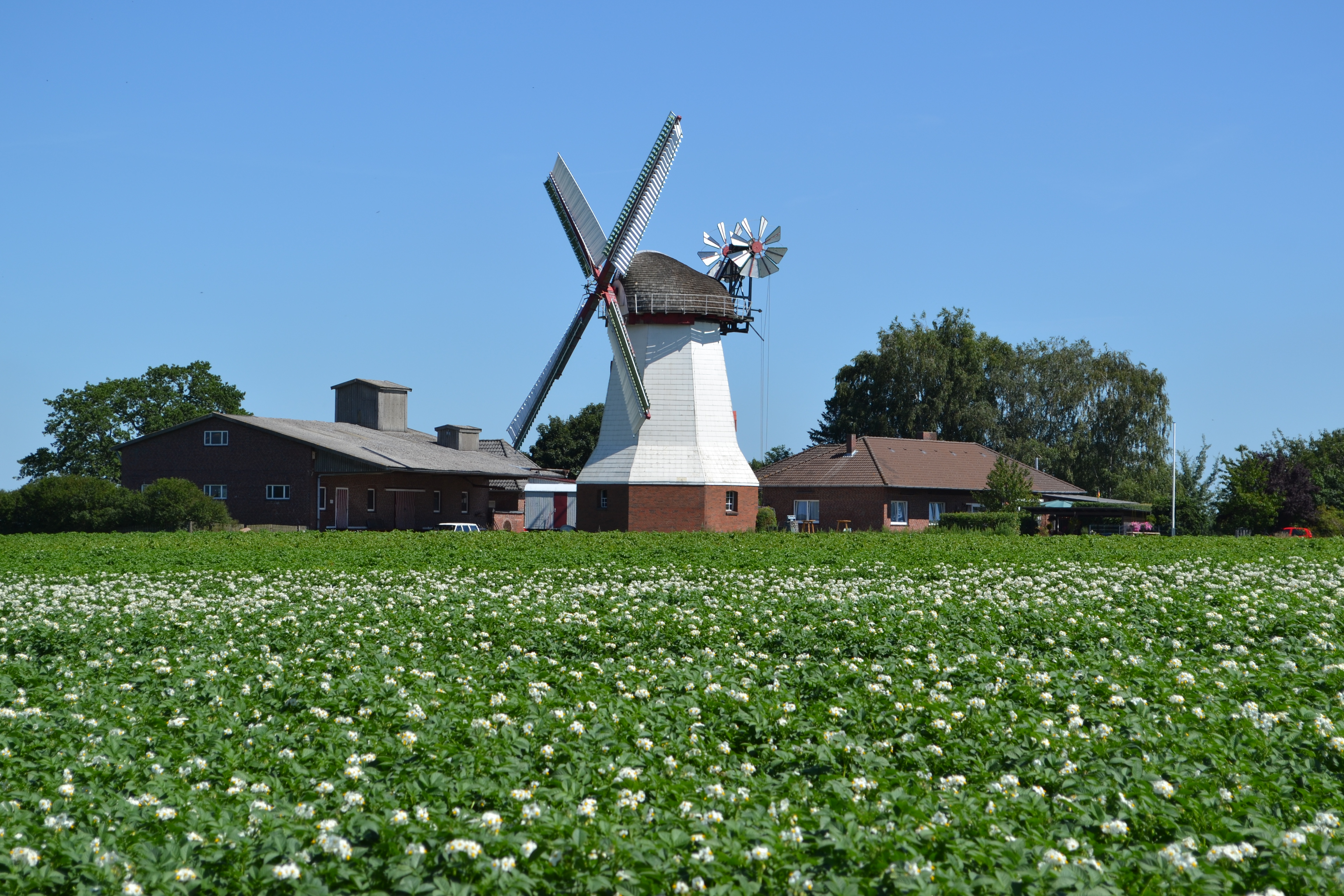 Windmill Eyendorf 03