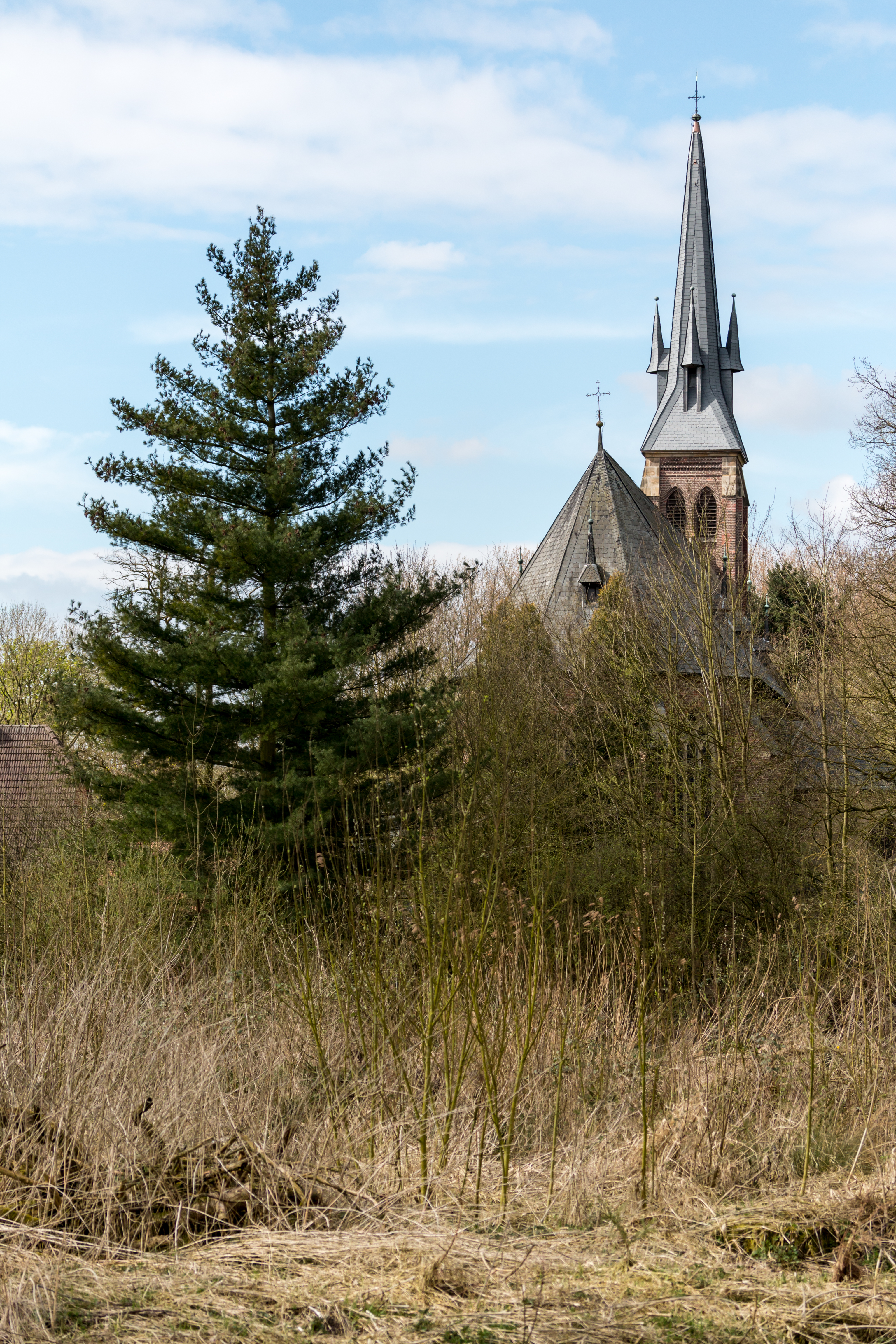 Dülmen, Kirchspiel, St.-Jakobus-Kirche -- 2015 -- 5384