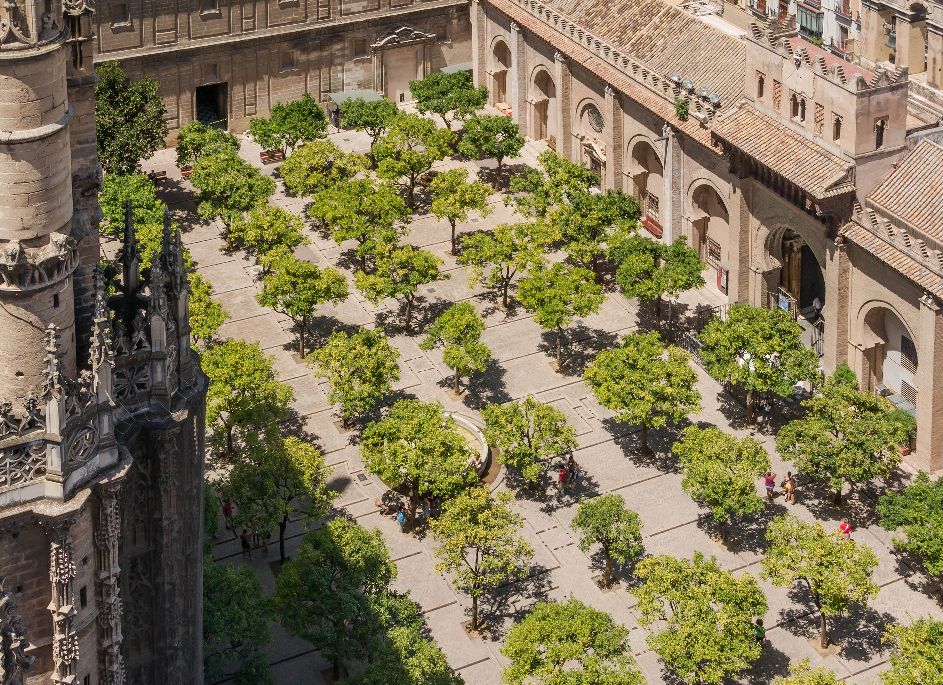 Orange trees courtyard cathedral from Giralda Seville Spain