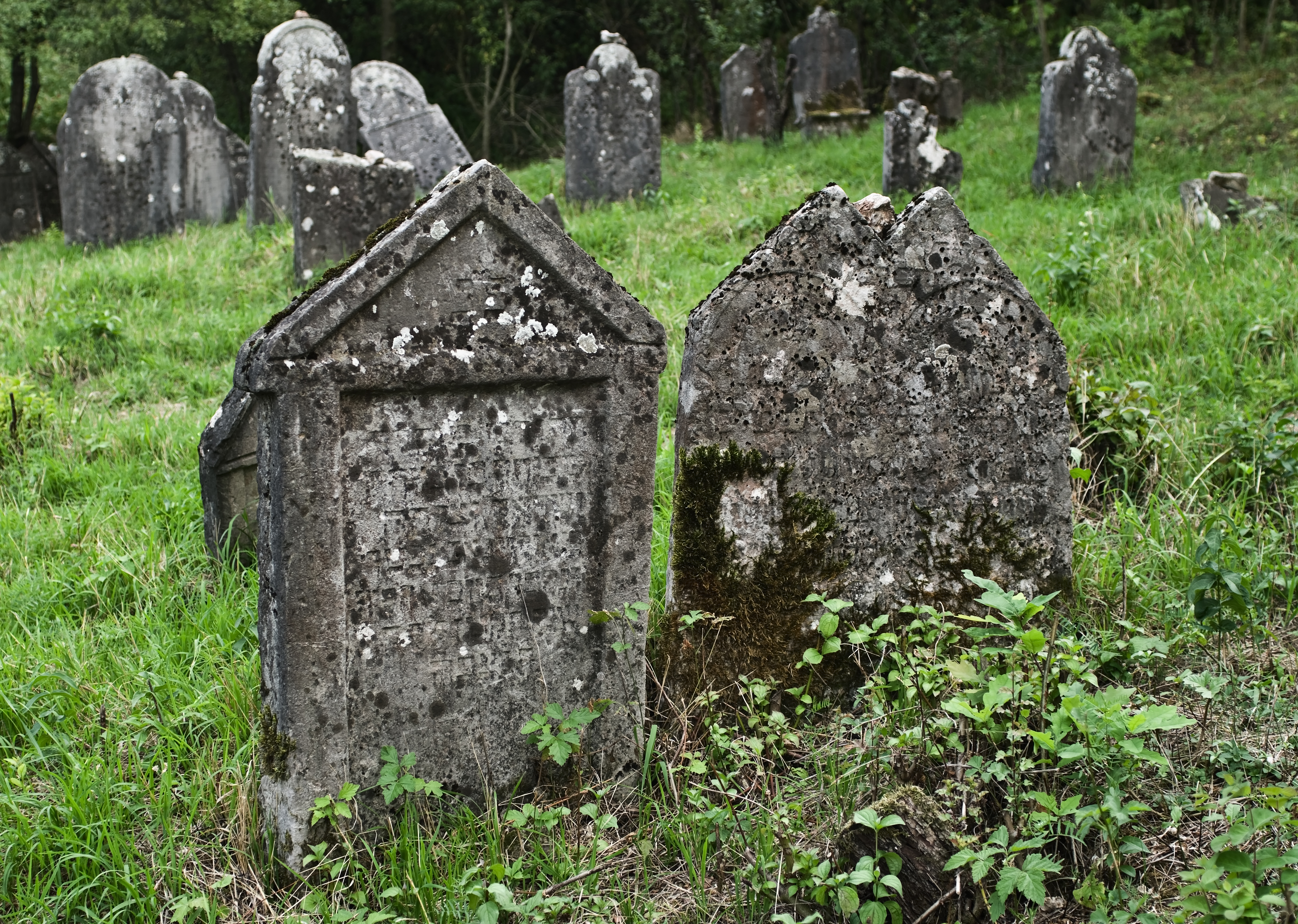 Jewish cemetery Checiny IMGP7883