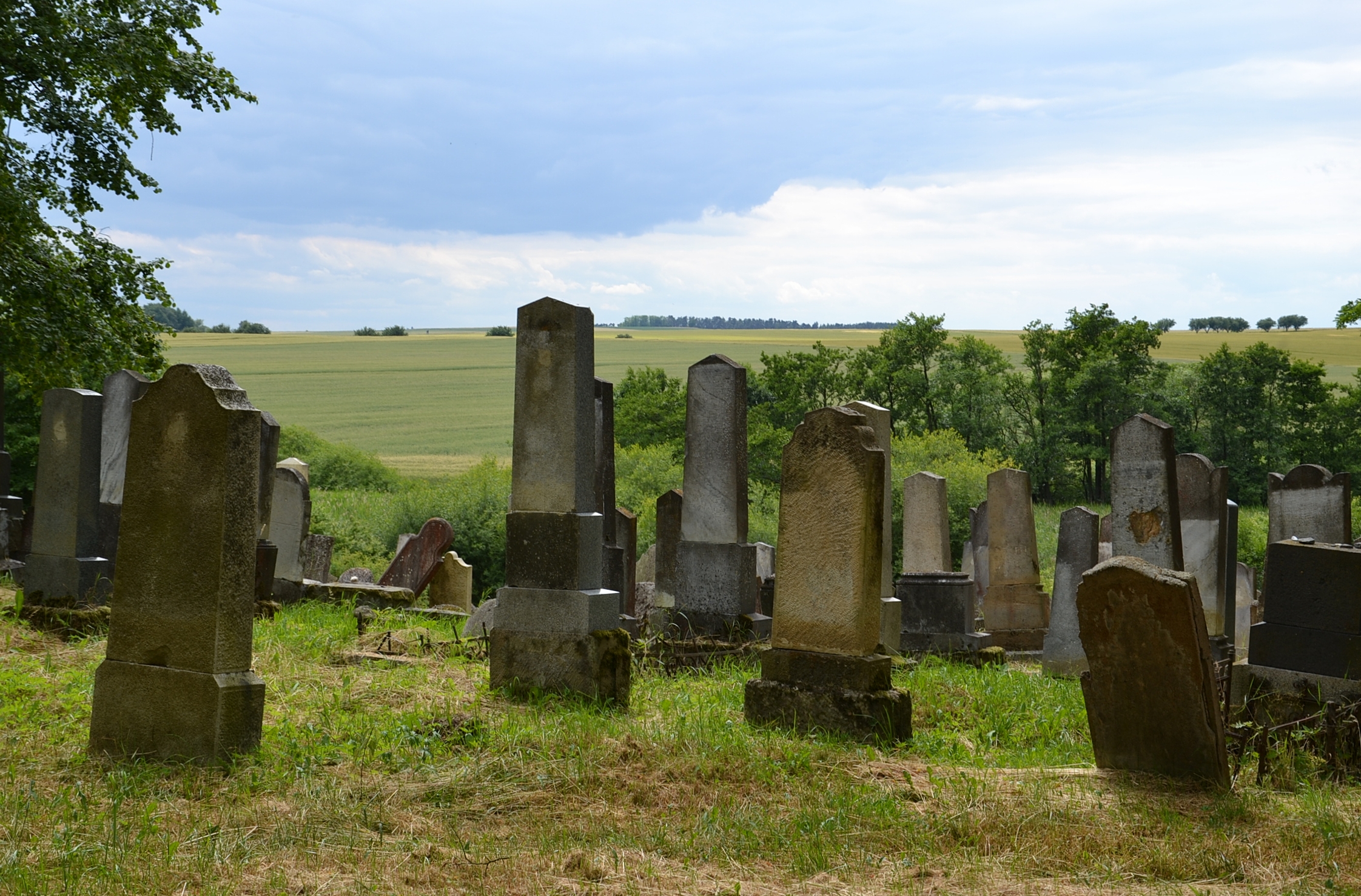 Jewish cemetery in Šafov (Schaffa)