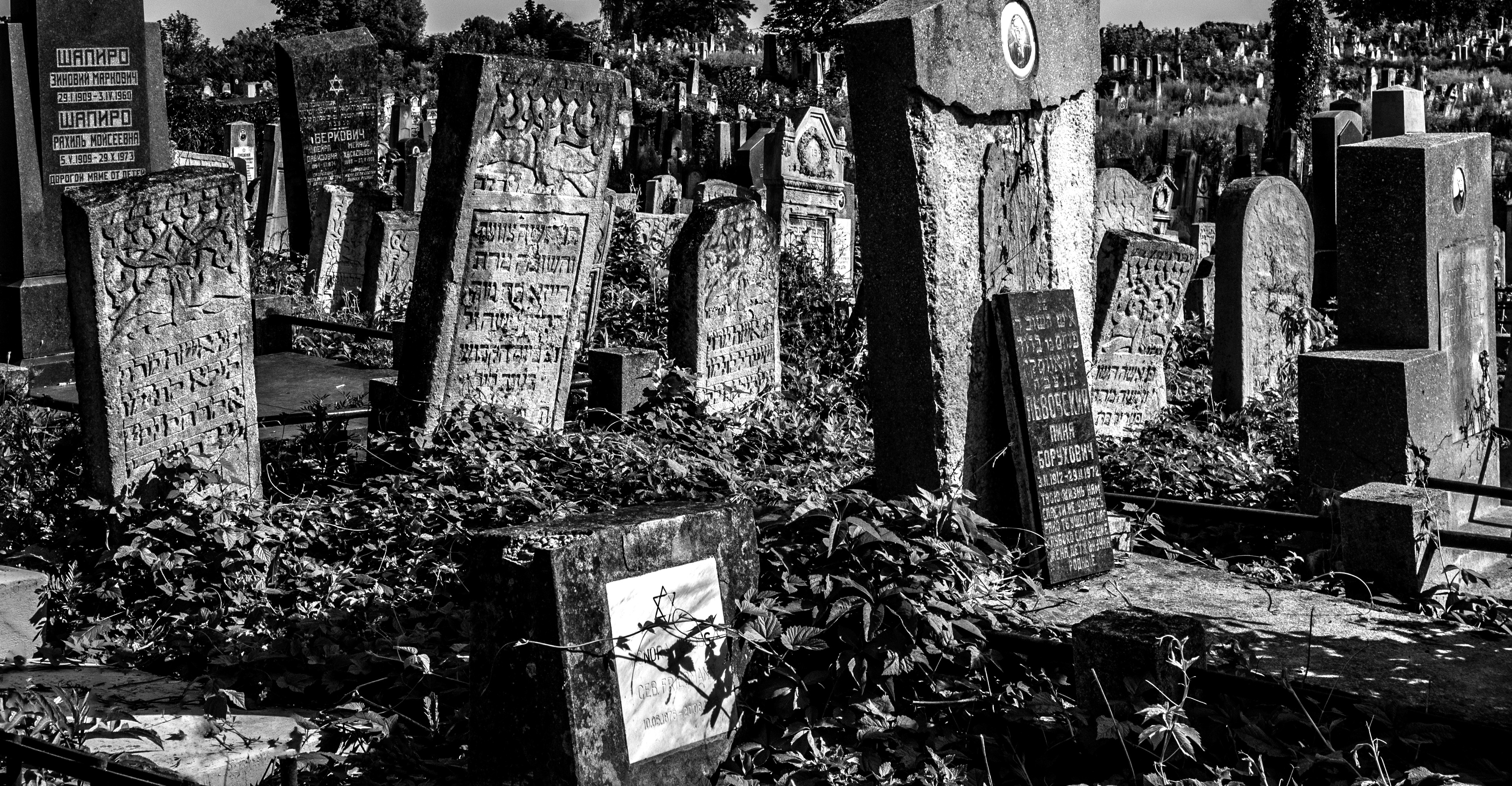 Jewish cemetery in Chernivtsi (Еврейское кладбище в Черновцах)
