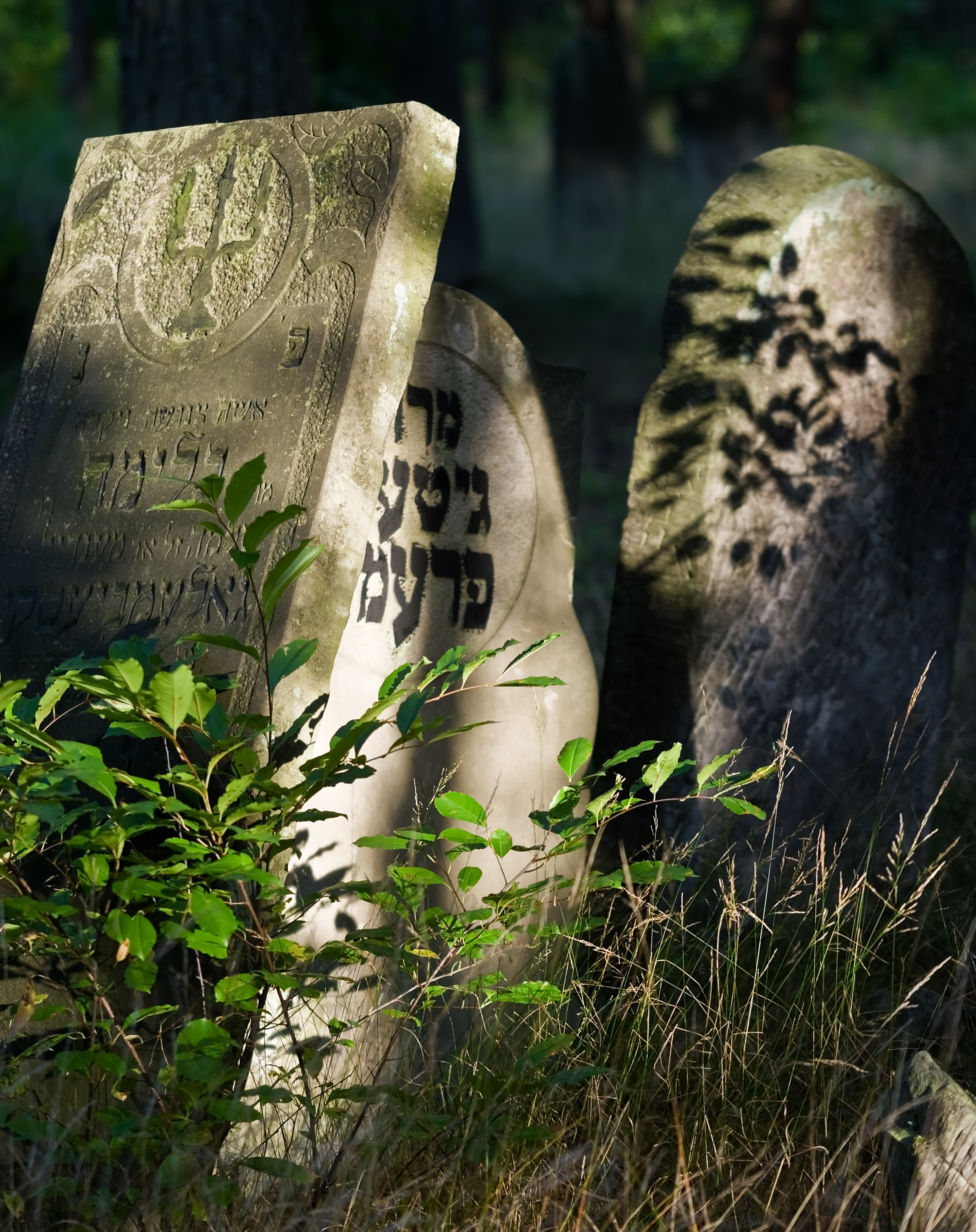 Jewish cemetery Otwock Karczew Anielin