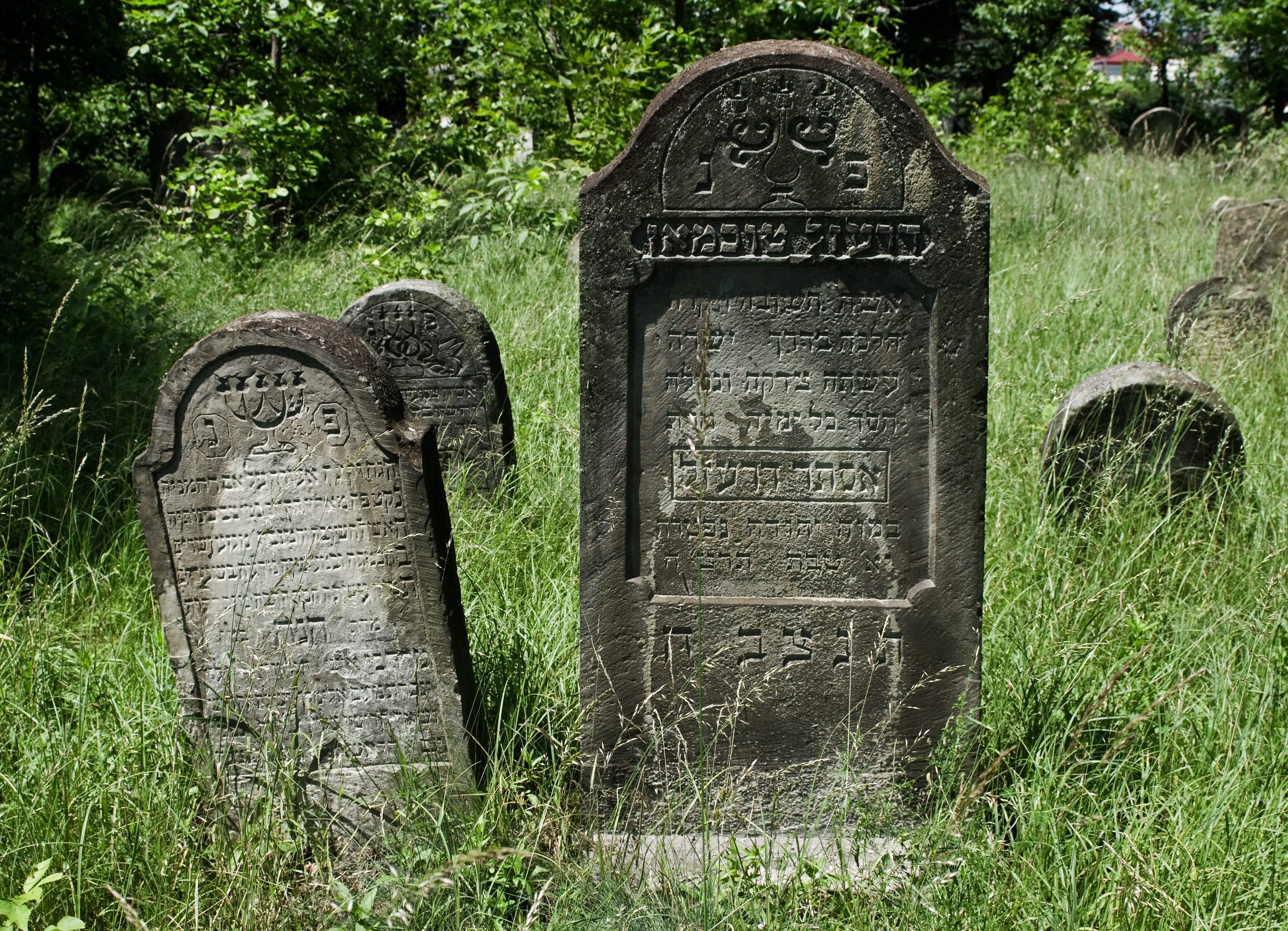 Jewish cemetery Sokolow Malopolski IMGP4644