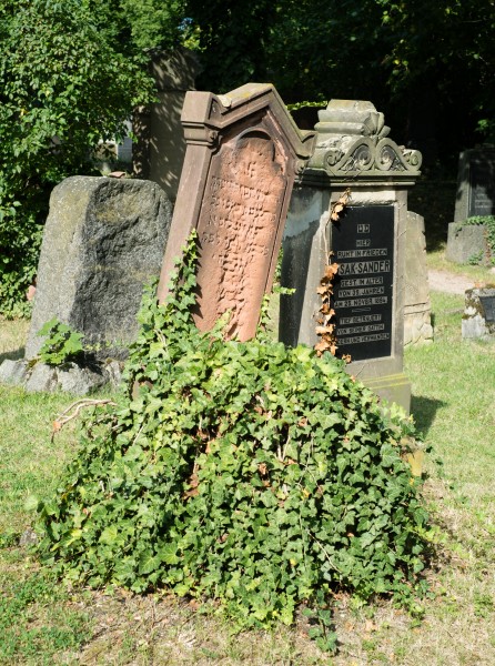 Jüdischer Friedhof Worms-4217