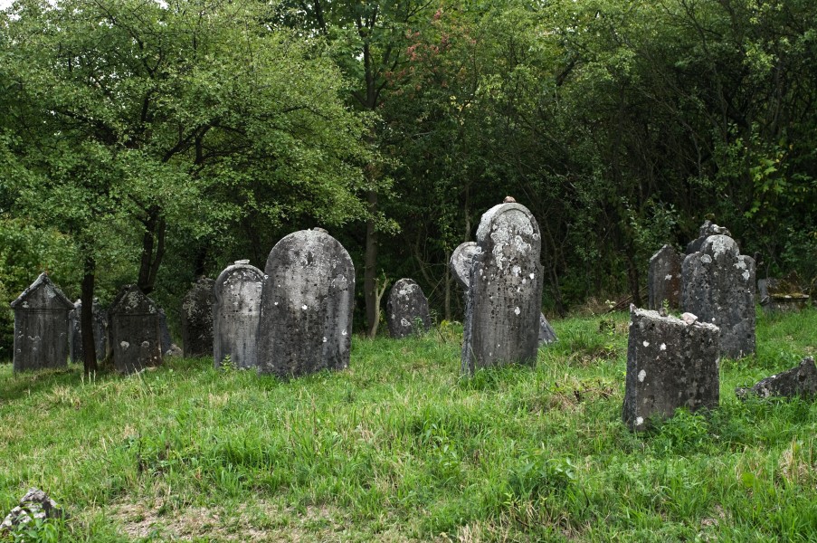 Jewish cemetery Checiny IMGP7887
