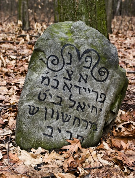Jewish Cemetery Kock IMGP2334