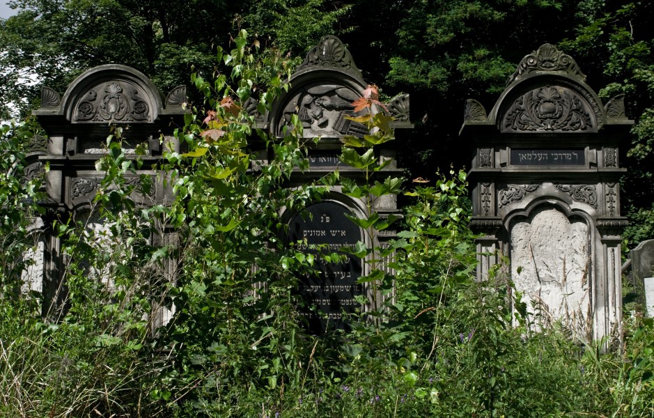 Jewish cemetery Lodz IMGP6725