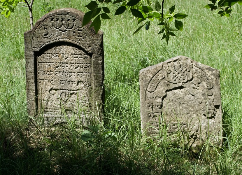 Jewish cemetery Sokolow Malopolski IMGP4671