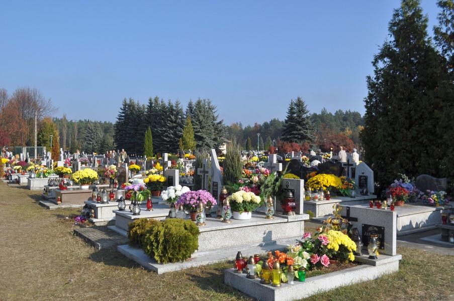 PL - Mielec - cmentarz komunalny - 2011-11-02 - 001