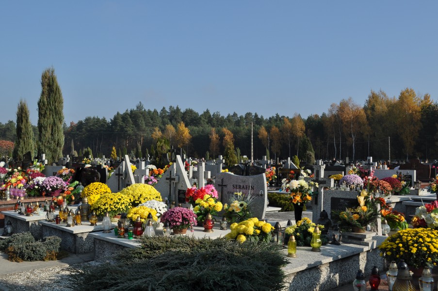 PL - Mielec - cmentarz komunalny - 2011-11-02 - 005
