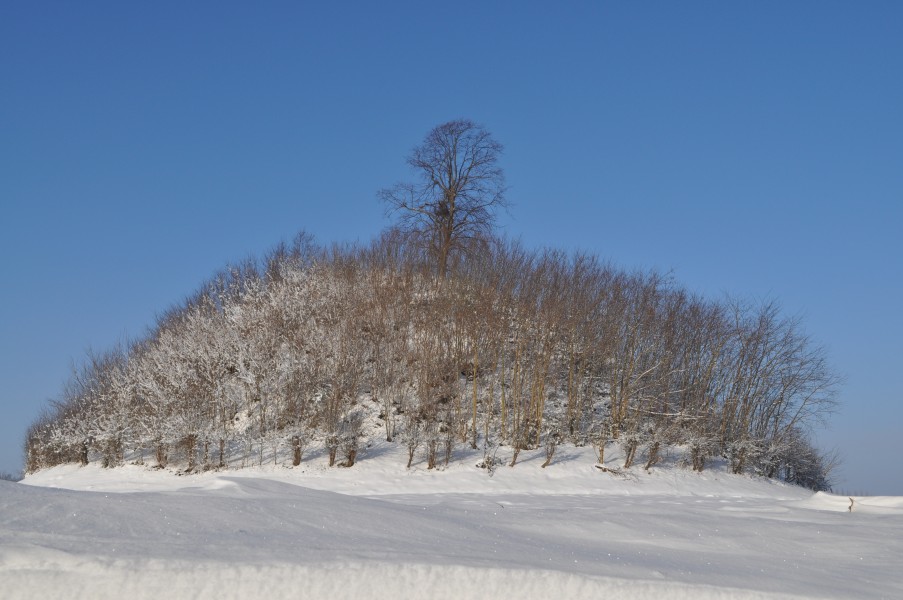 Tumulus de Glimes en hiver