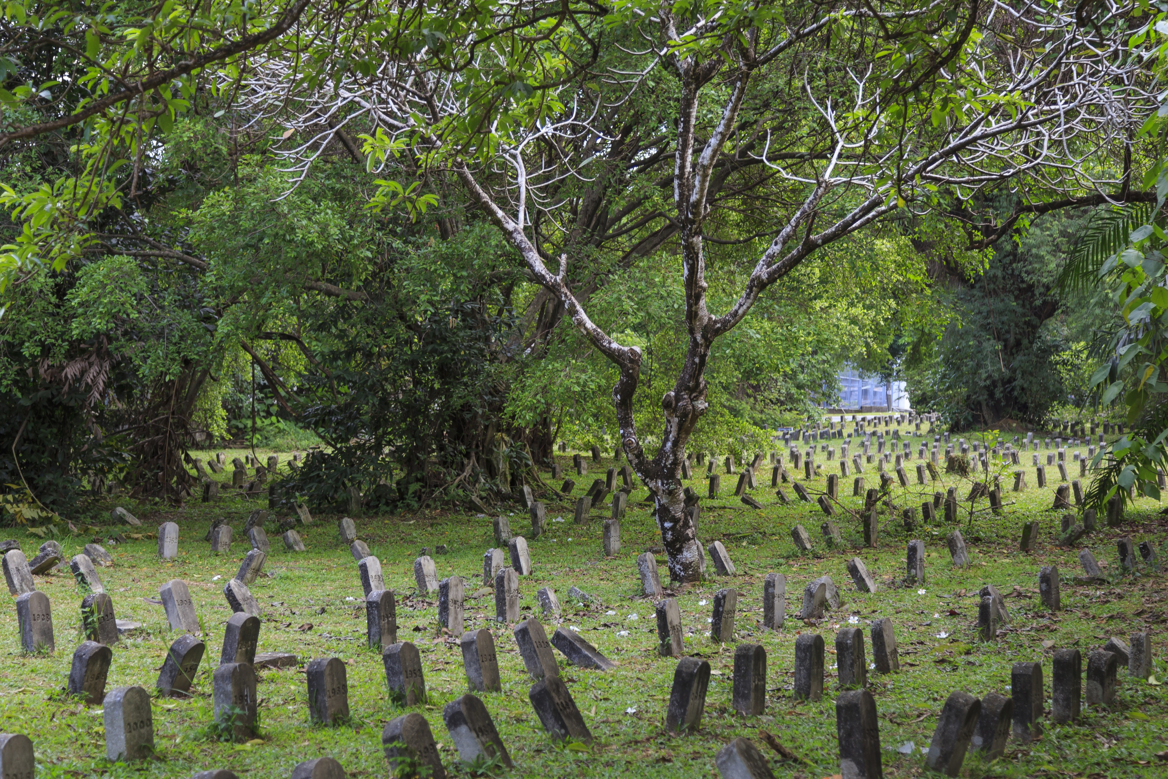 Kuala Lumpur Malaysia Loke-Yew-Cemetery-01