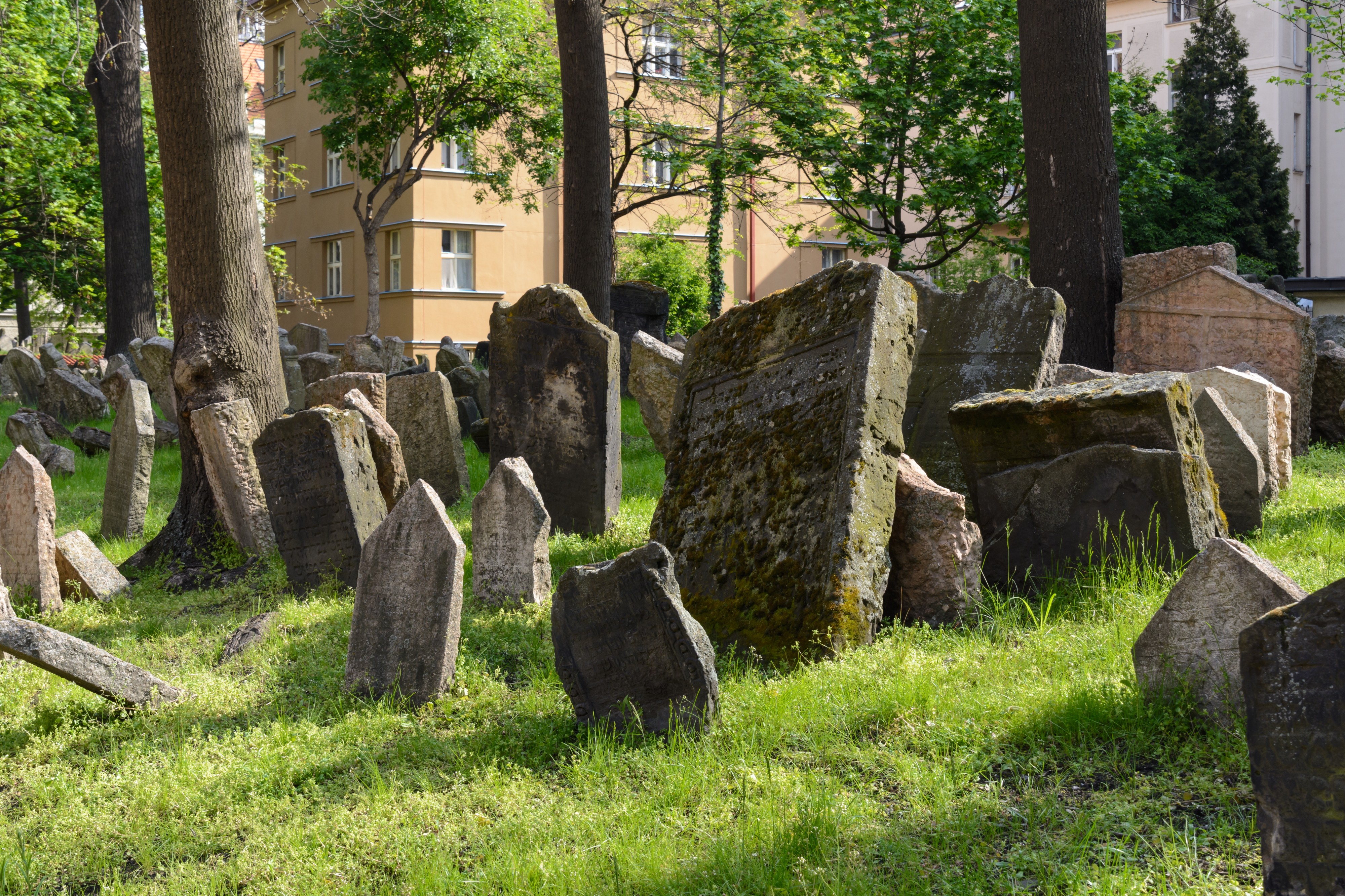 Praha Old Jewish Cemetery 20170501 02