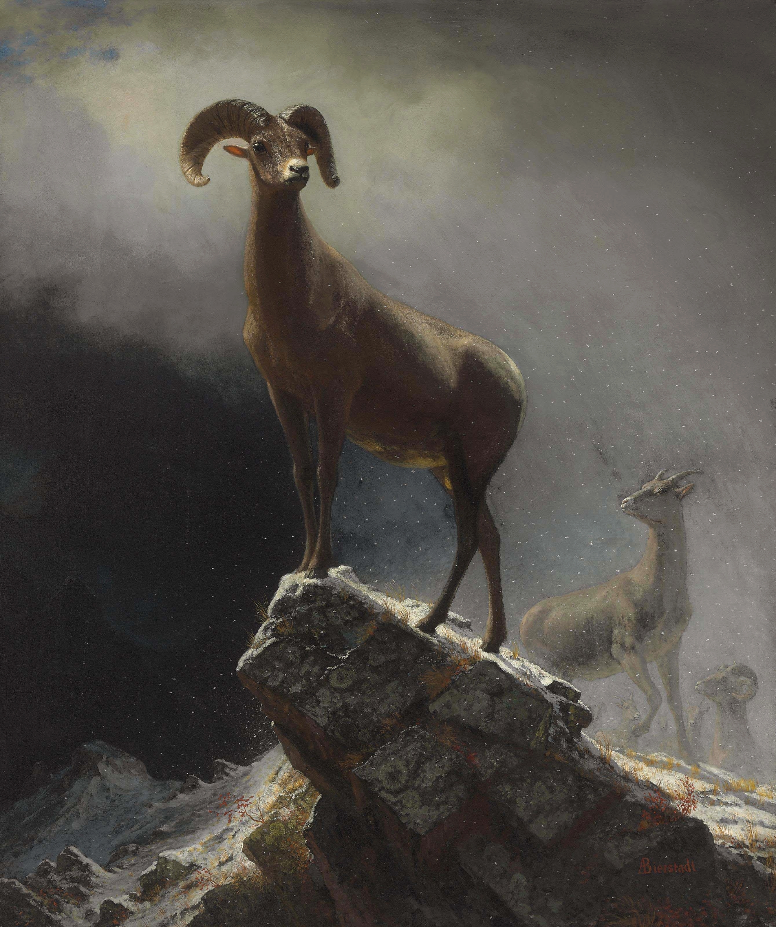 Albert Bierstadt - Rocky Mountain Sheep or Big Horn, Ovis, Montana