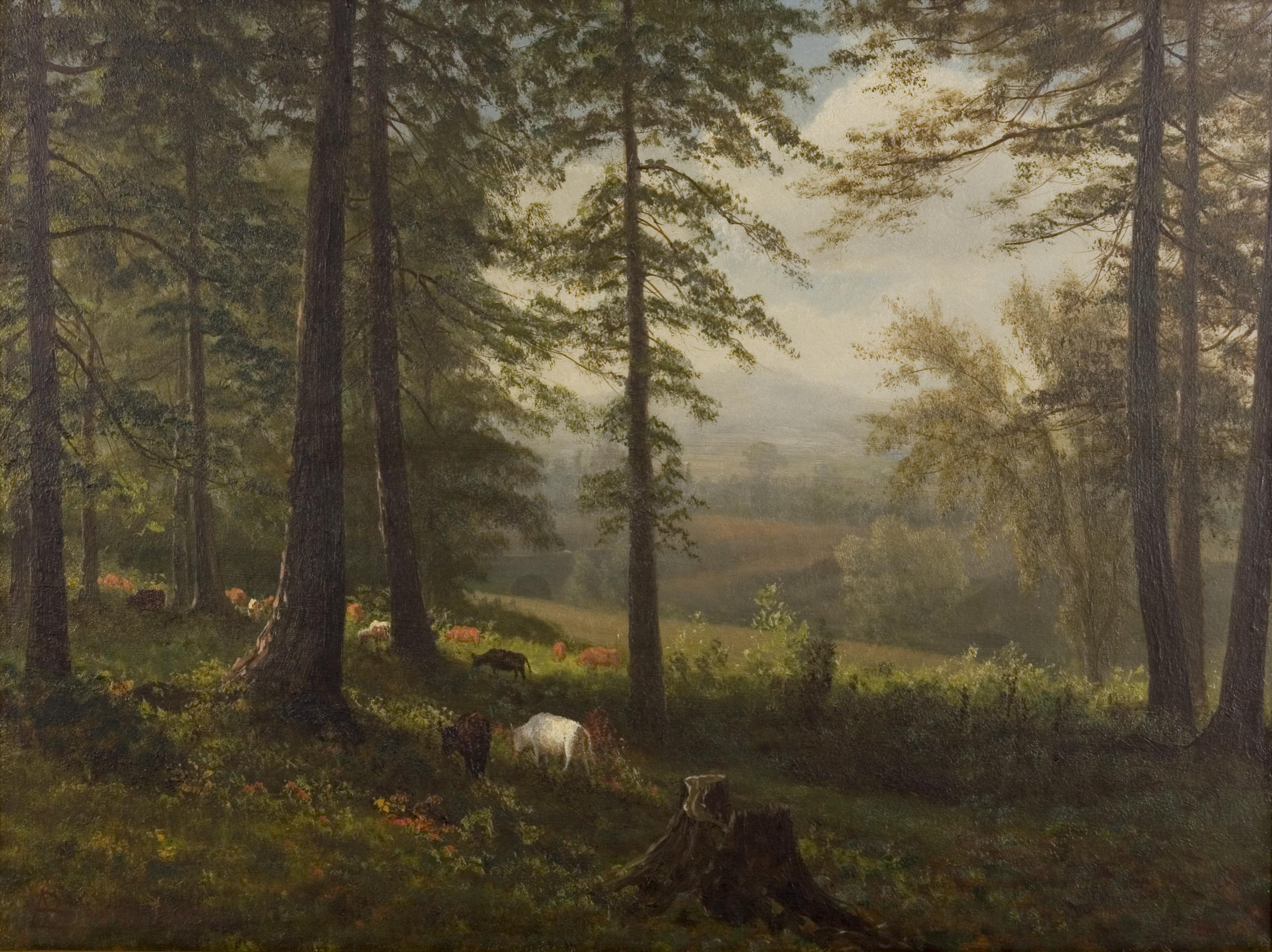 Albert Bierstadt - View to a Clearing