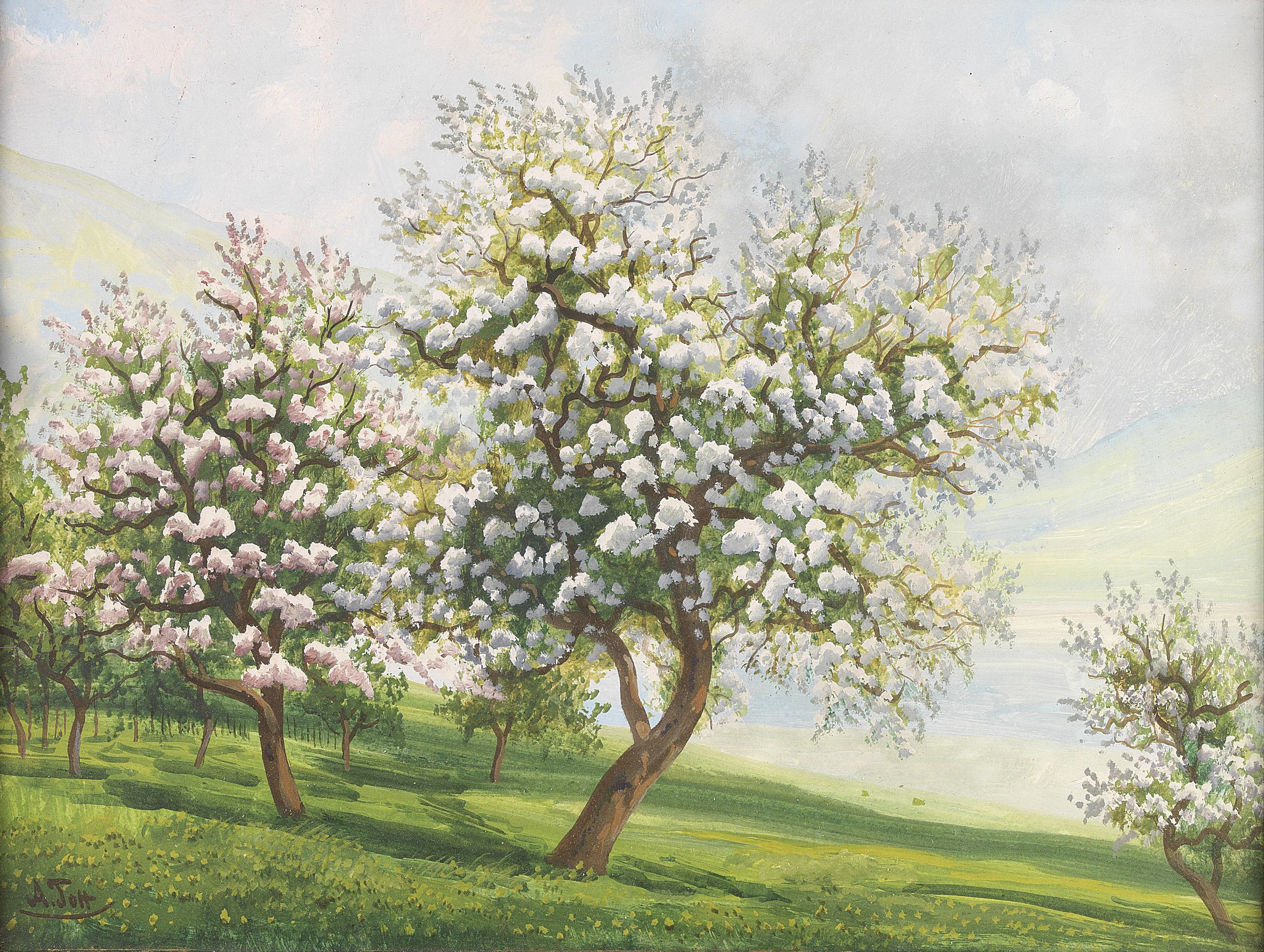 Alois Tott Blühende Obstbäume